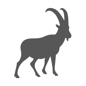 Glenmuir Luxury Cashmere