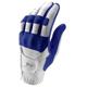 White/Royal