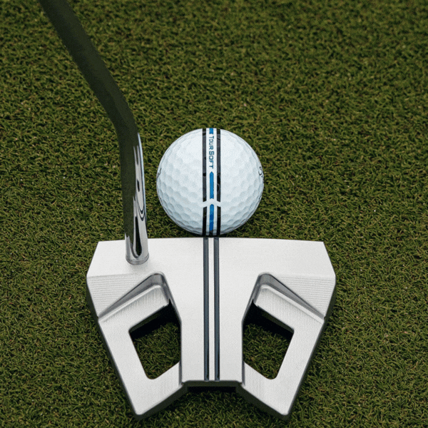 Titleist Ball Fitting