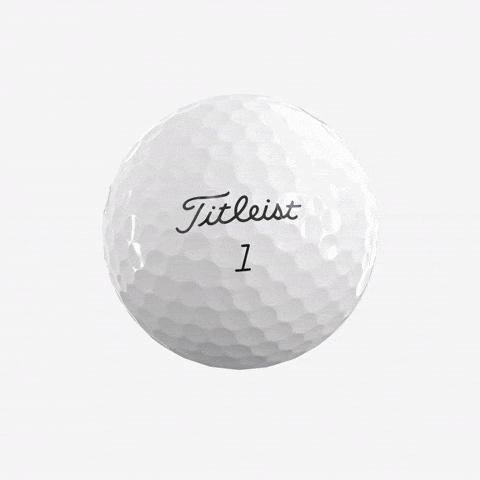 Pro V1 Golf Ball