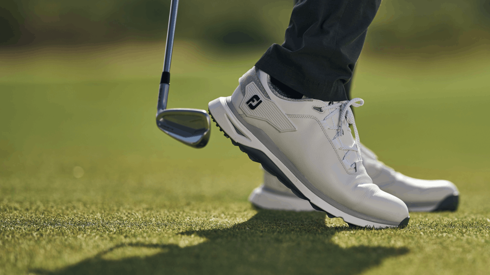 FootJoy Tour Alpha
