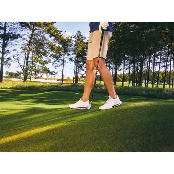 Ecco Mens Biom C5 BOA Gore-Tex Golf Shoes