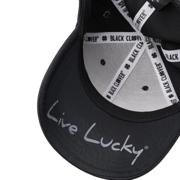 2024 premium clover 2 ex10