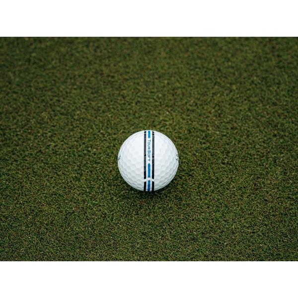 2025 toursoft aim360 ex8