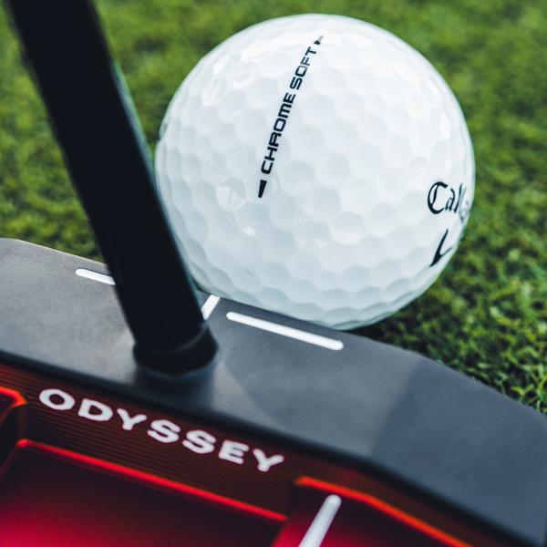 2026 cs white lid 001 ex12