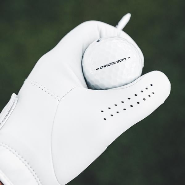 2026 cs white lid 001 ex13