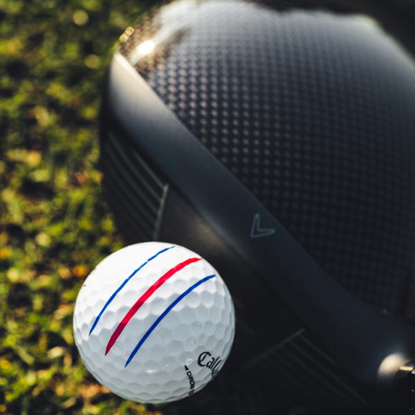 2026 cs white trptrk 001 ex10