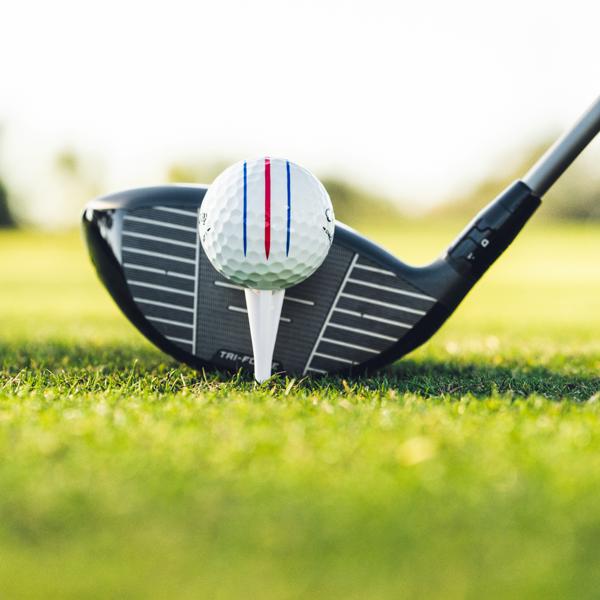 2026 cs white trptrk 001 ex11