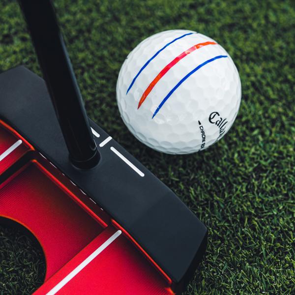 2026 cs white trptrk 001 ex12