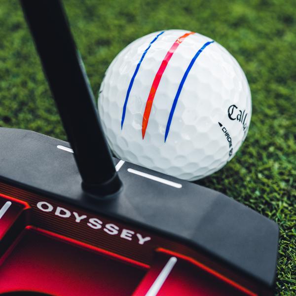 2026 cs white trptrk 001 ex13