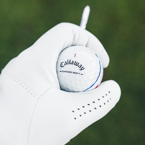 2026 cs white trptrk 001 ex14