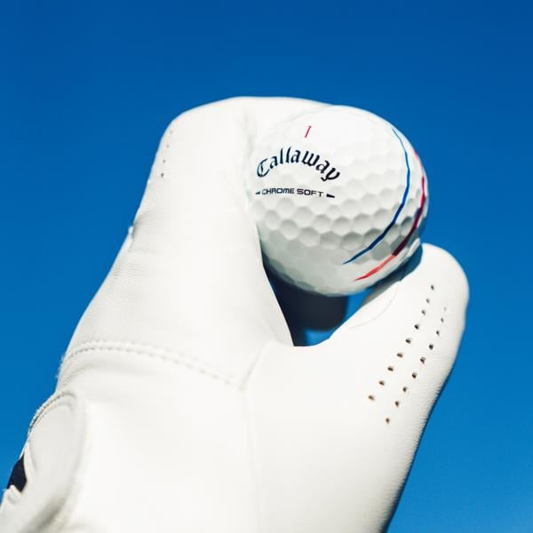 2026 cs white trptrk 001 ex15