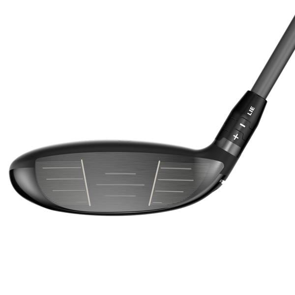 2026 quantum fairway max d 002 ex6