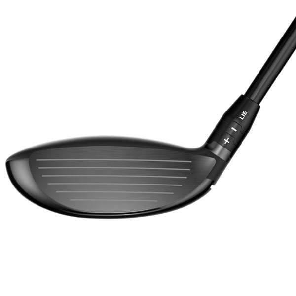 2026 quantum fairway triple diamond 009 ex6