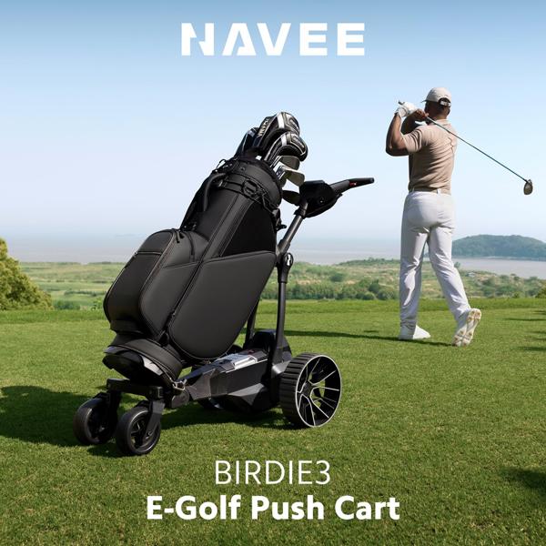4 navee birdie3
