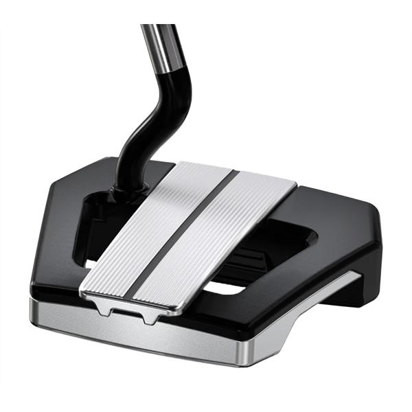 allan putter back ex1