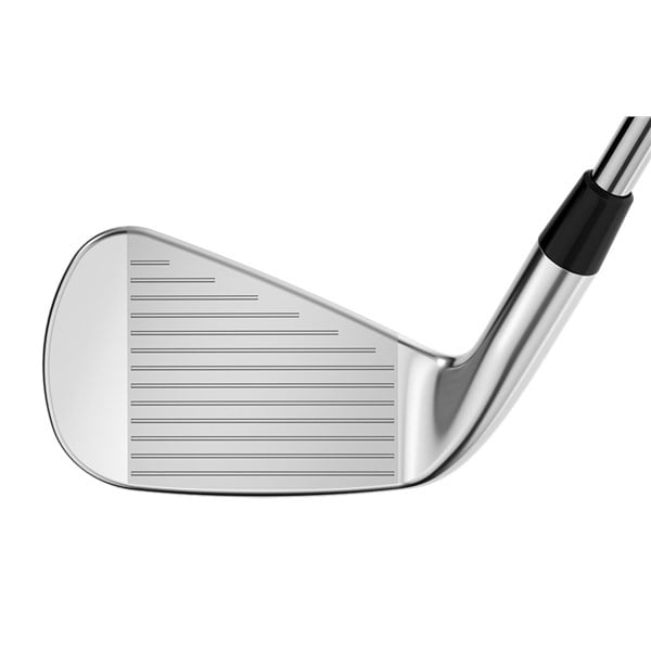 apex21 pro irons ext3