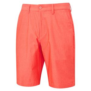 Ping Mens Ashcroft Shorts