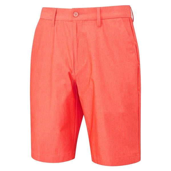 ashcroft short p03417 fiesta ex1