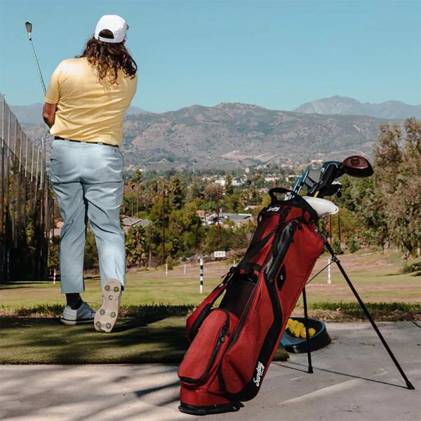 bag307 ex10
