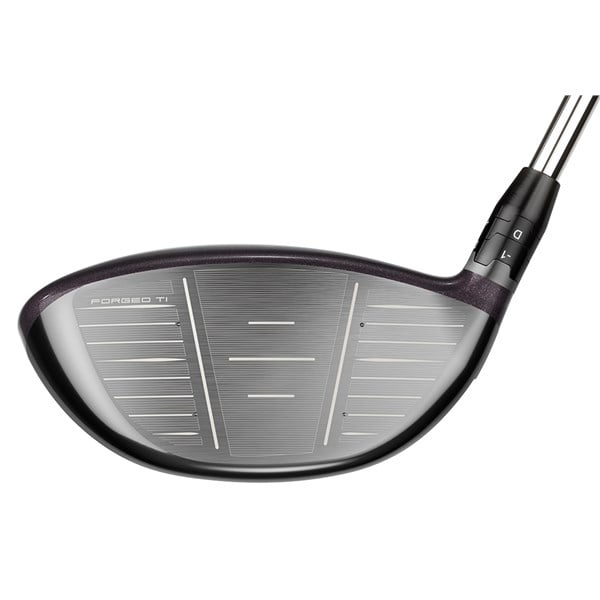 big bertha reva driver 2023 face