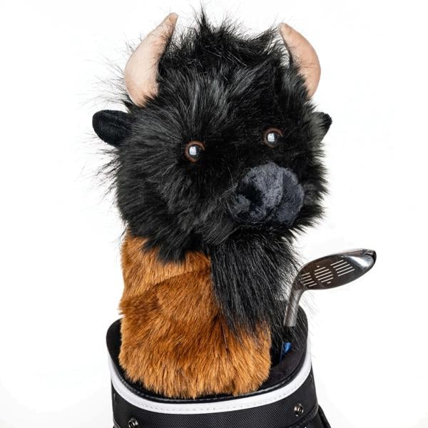 buffaloheadcover ex2