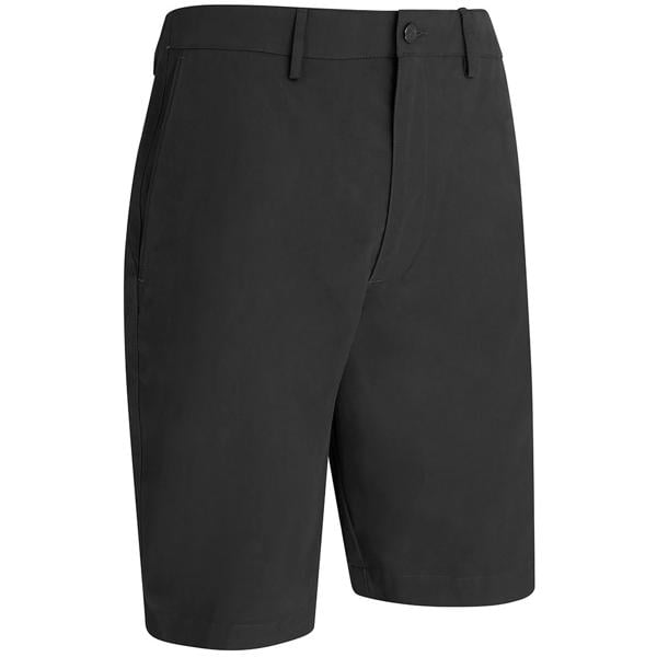 cgbsc053 002 ex1