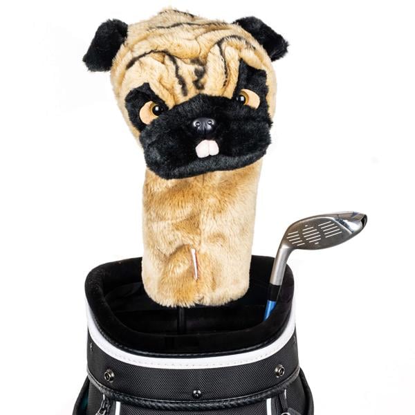 dahcpug ex2