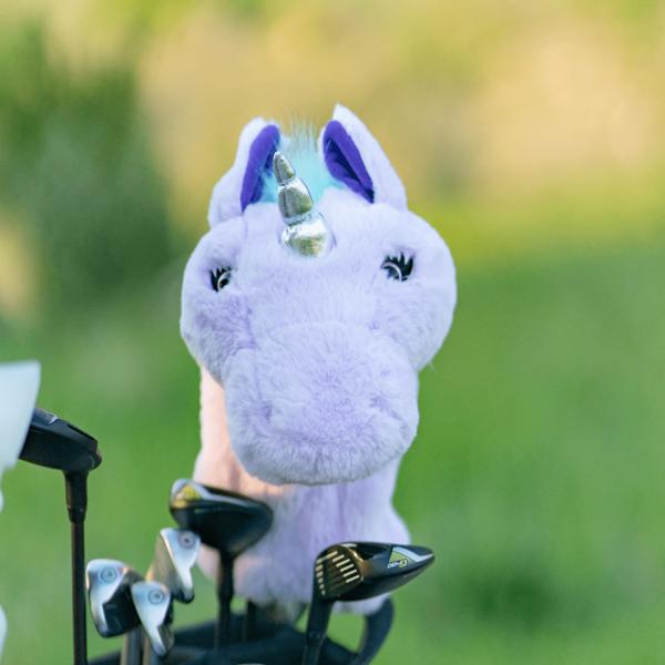 dahcuni unicornheadcover ex3