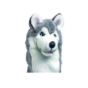 Daphnes Husky Headcover