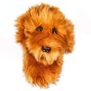 Daphnes Doddle Dog Headcover