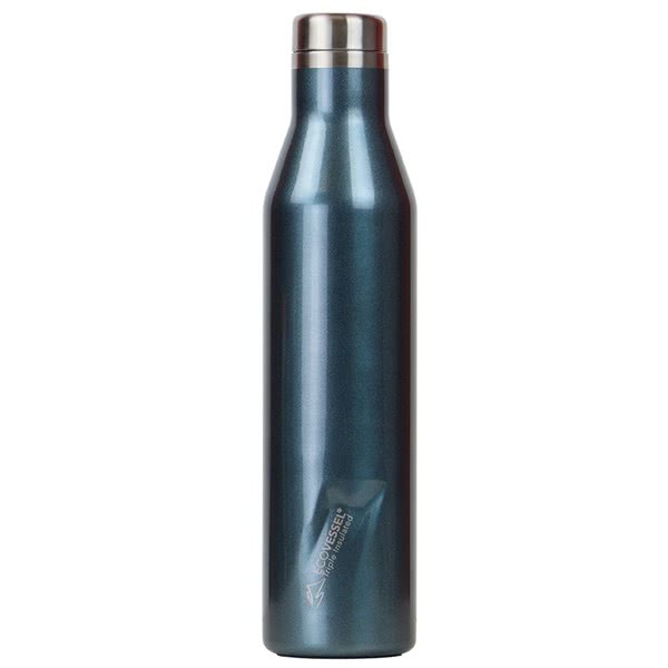 Ecovessel Aspen Insulated Bottle