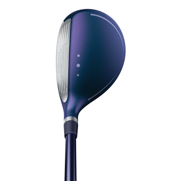 gle4hybrid 6 address