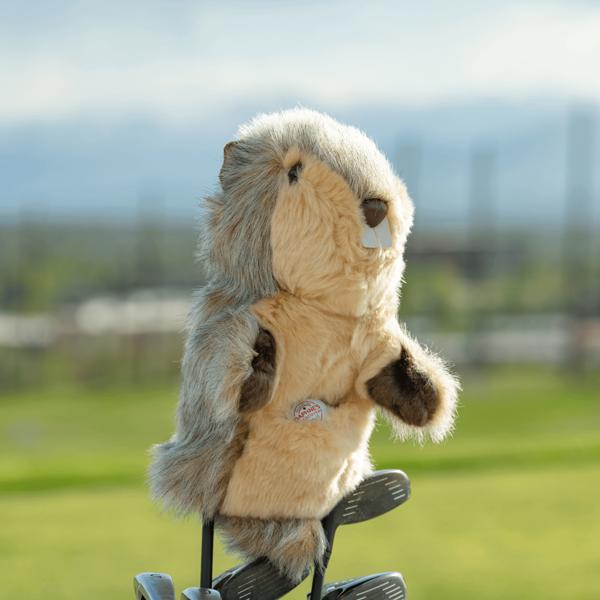 gopherheadcover ex3