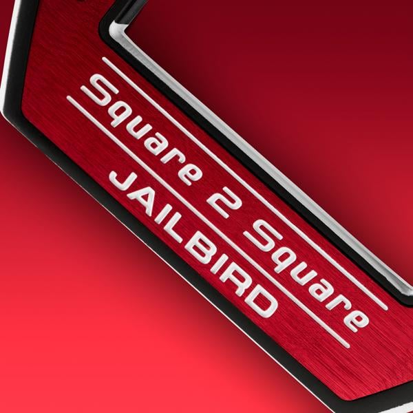 jailbird ai dual square 2 square 0379 ex10