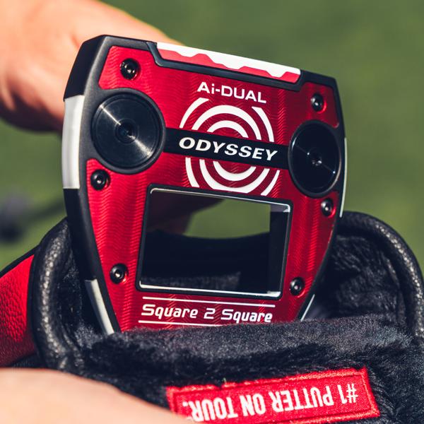 jailbird ai dual square 2 square 0379 ex11