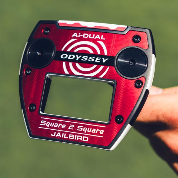 jailbird ai dual square 2 square 0379 ex14