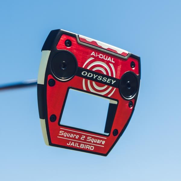 jailbird ai dual square 2 square 0379 ex15