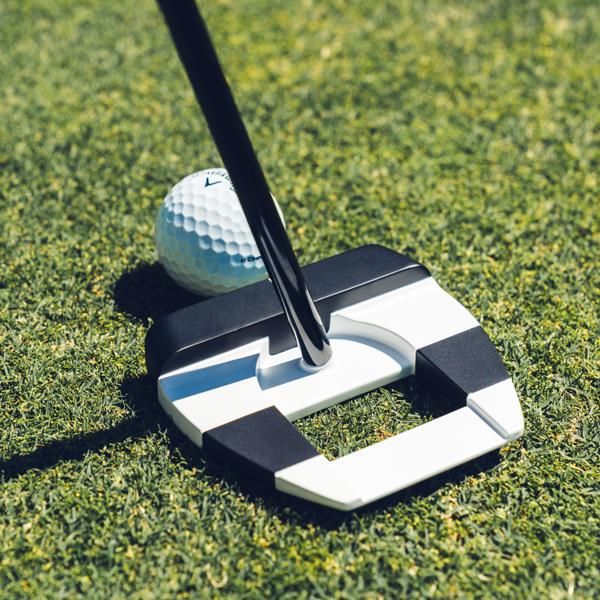 jailbird ai dual square 2 square 0379 ex16