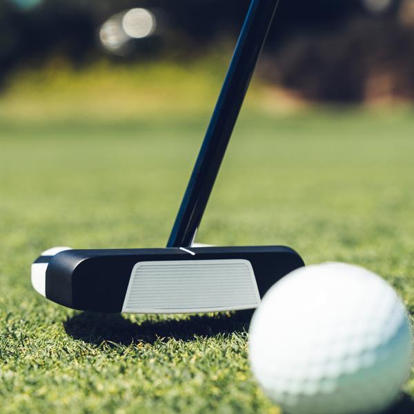 jailbird ai dual square 2 square 0379 ex17