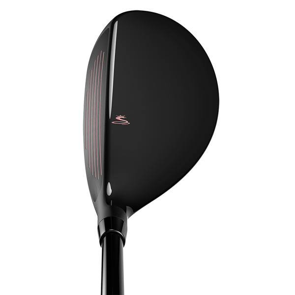 ldy f9 hybrid ext2