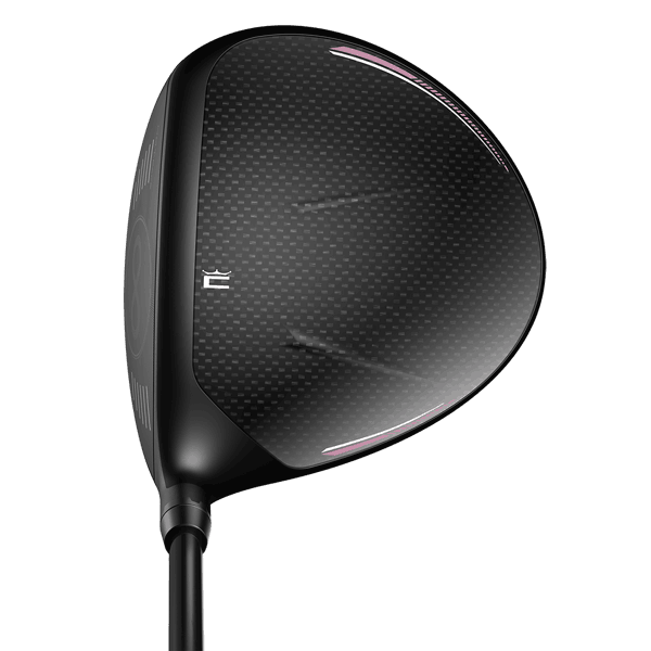 ltd x max driver address elderberry