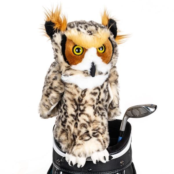owlheadcoveron ex2