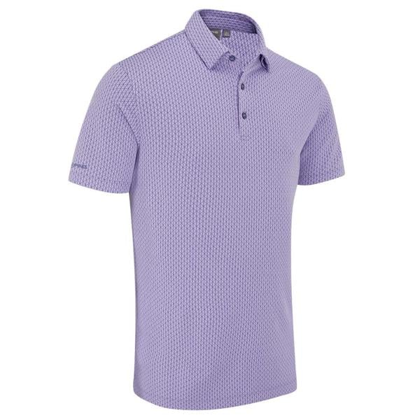 p03729 pam hershel purple ash multi front angle