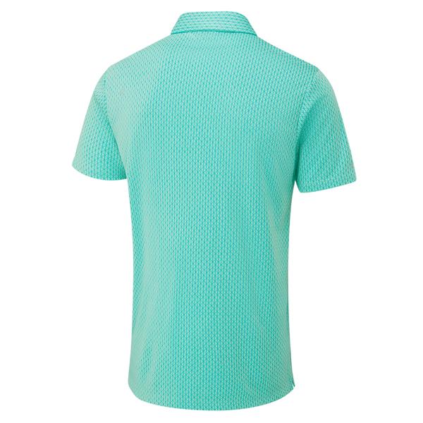 p03729 green bay ex5