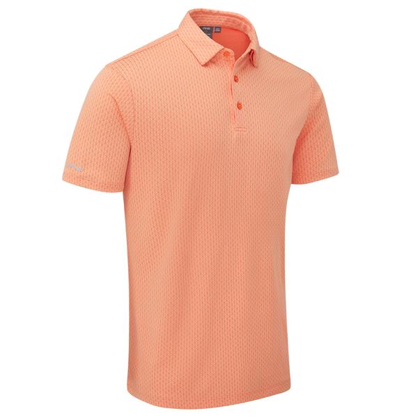 p03729 wild salmon multi ex4