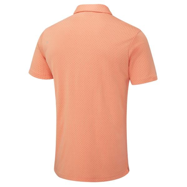 p03729 wild salmon multi ex5