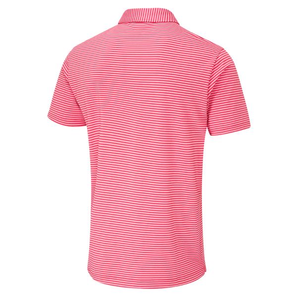 p03790 rpink white ex2