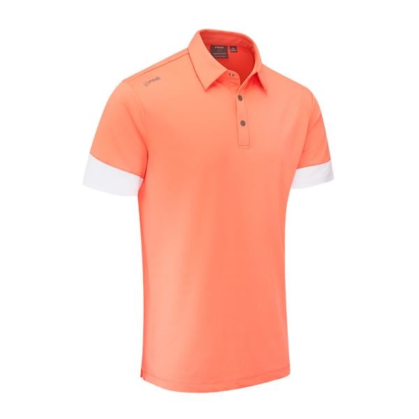 p03791 wdsalwhite ex2