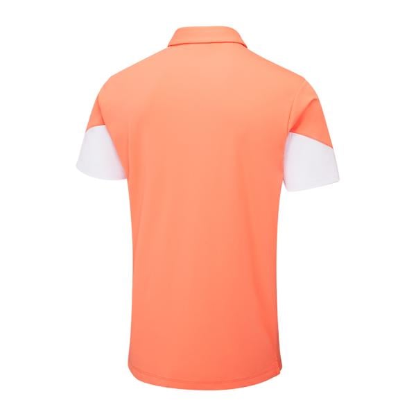 p03791 wdsalwhite ex3